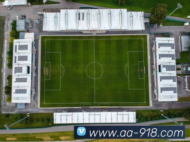 App Interface Preview